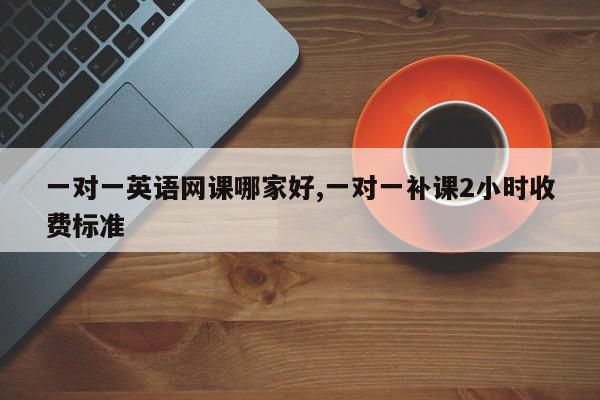 一对一英语网课哪家好,一对一补课2小时收费标准